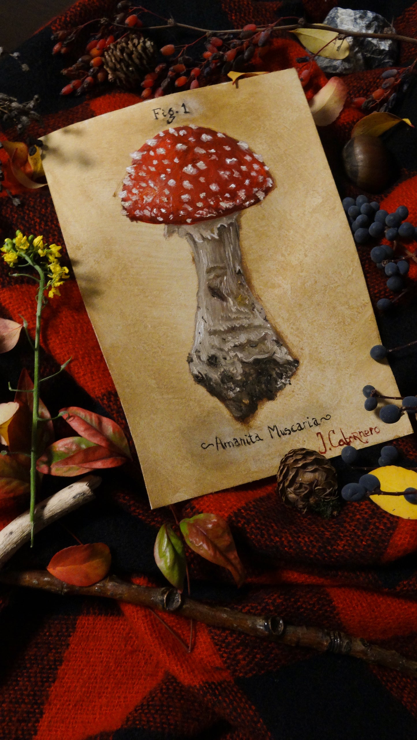 Amanita Muscaria (Matamoscas)